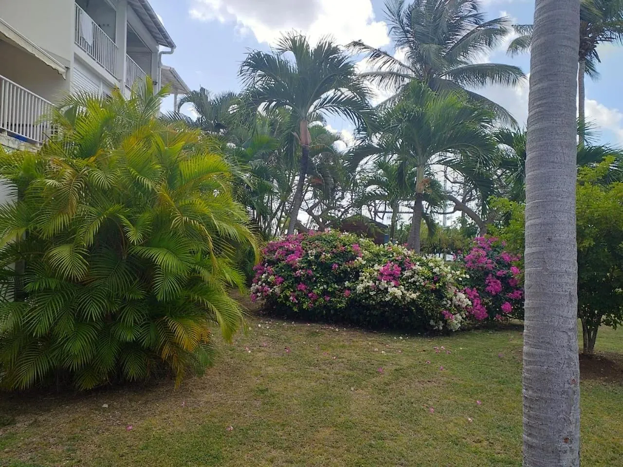 L'Eden Marin Apartment Saint-Francois   Saint-Francois (Grande-Terre)
